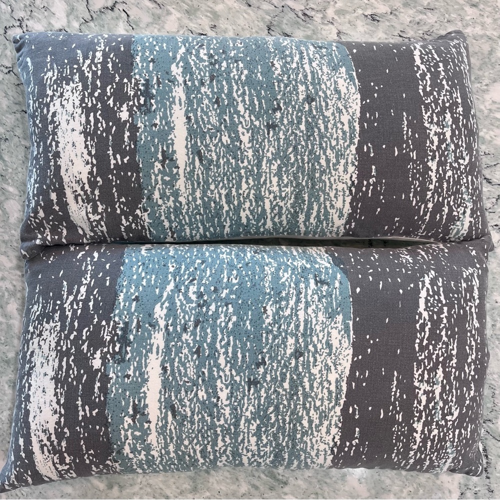 Pair of CB2 Static Rectangular Lumbar Pillows